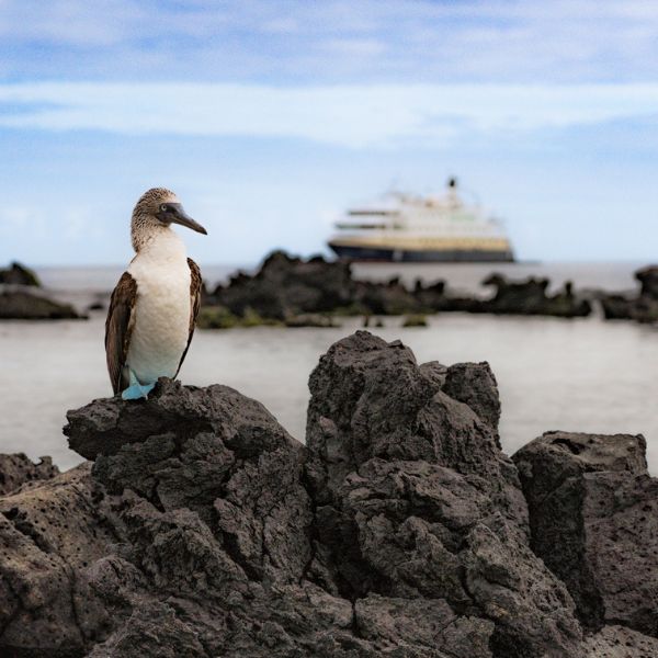 Uncover new perspectives with HX Expeditions