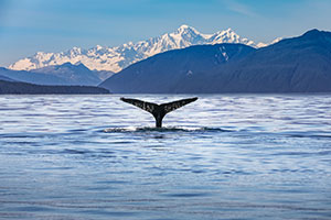 Sitka/Juneau